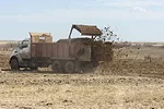 61323-haro-marti-1.jpg