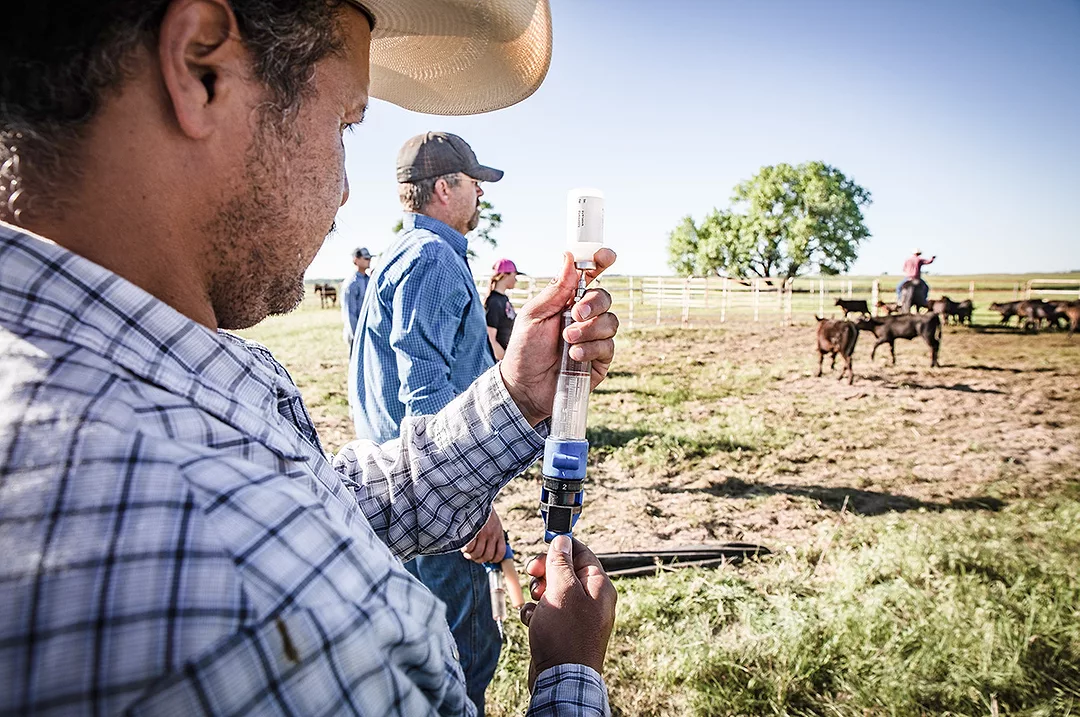 61380-hutcheson-vaccinate-dixon.jpg