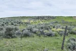 61424-Willmore-1.jpg