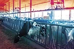 61420-dodd-cooling.jpg