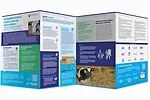 61549-recherche-Pain-Mitigation-Fact-Sheet.jpg