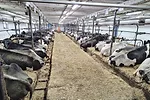 61518-cloutier-2.jpg