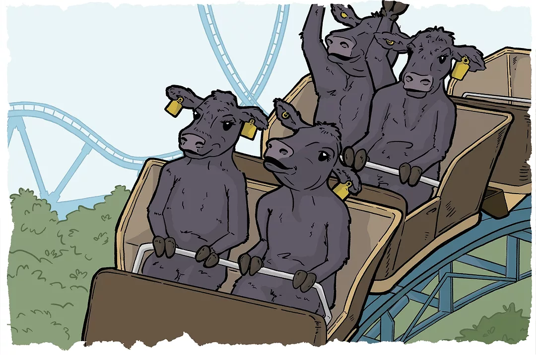 61626-louder-rollercoaster.jpg