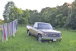 61678-viney-truck.jpg
