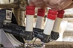 61671-gerbitz-lely-milking.jpg