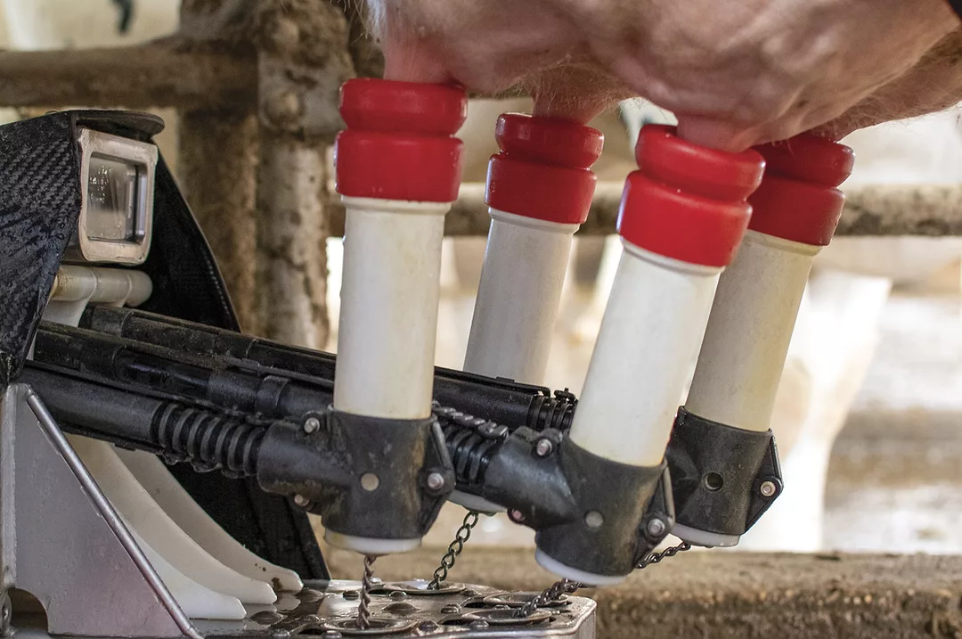 61671-gerbitz-lely-milking.jpg
