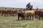 61712-porter-staff.jpg