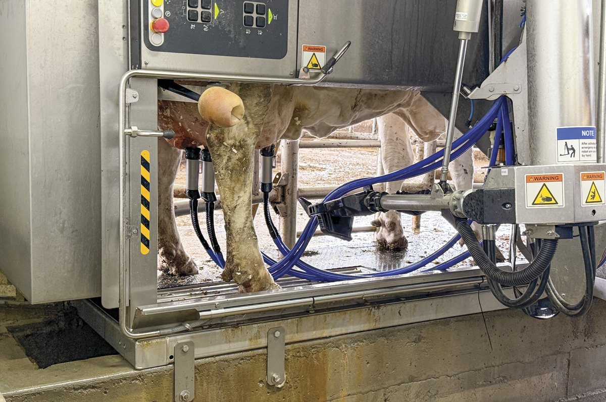 61756-devaney-robotic-milker.jpg
