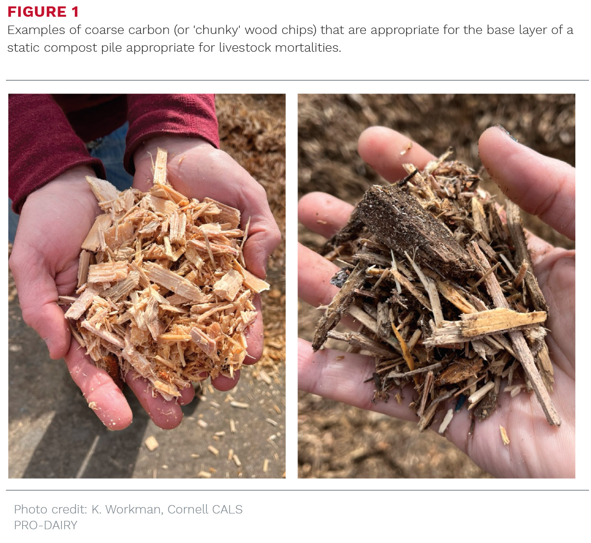 1325PD-Cornell-The-Manager-Livestock-Mortalities-fg1.jpg