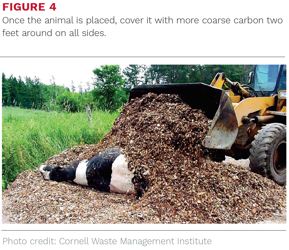 1325PD-Cornell-The-Manager-Livestock-Mortalities-fg4.jpg
