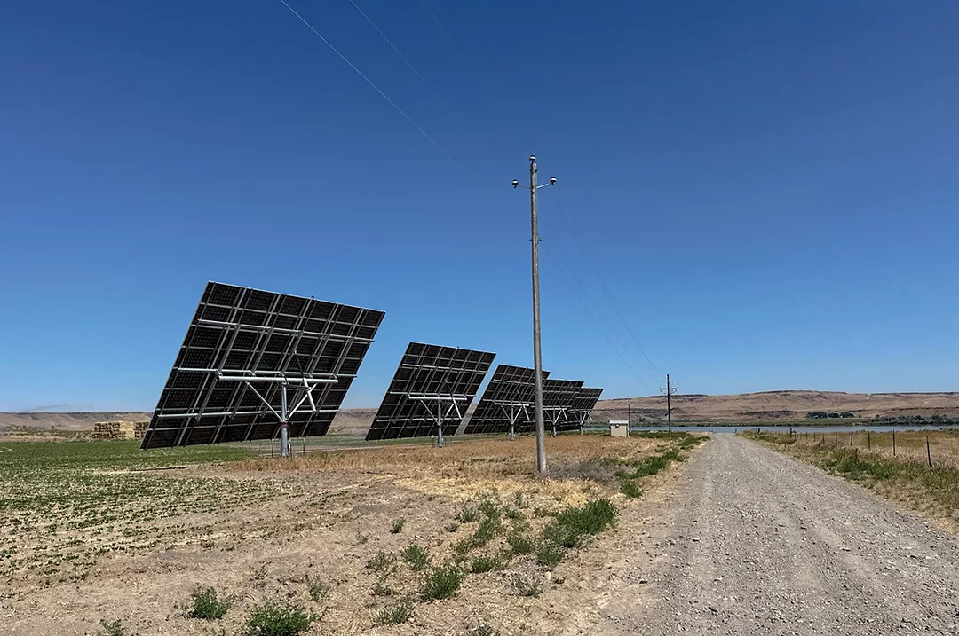 61857-vargovich-solar-panels.jpg