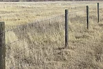 61872-cox-fence-cooper.jpg