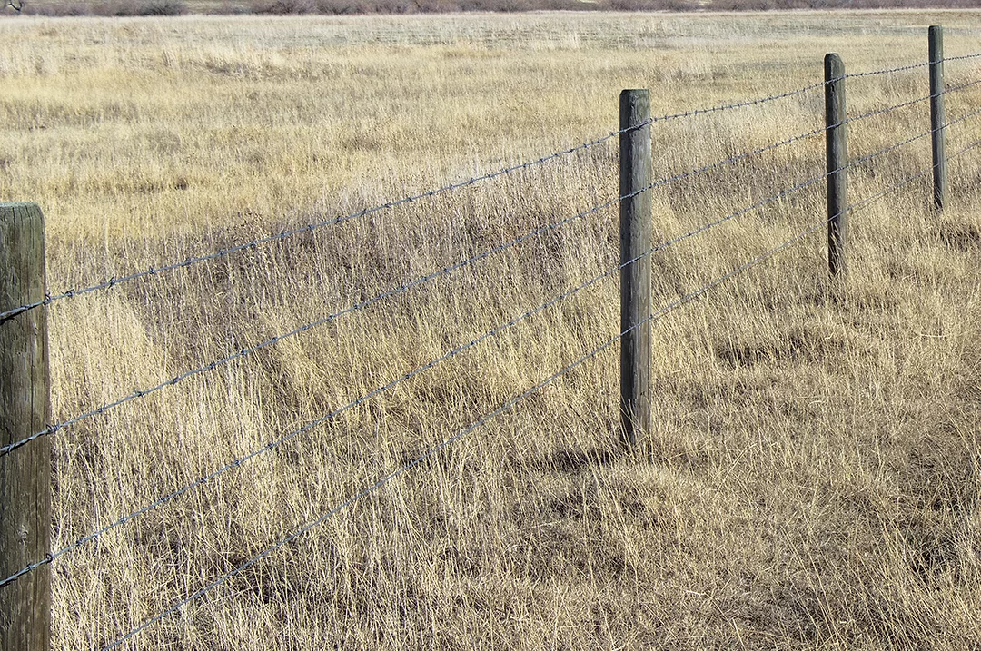 61872-cox-fence-cooper.jpg