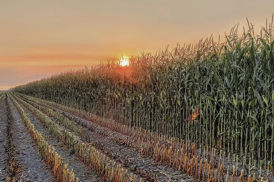 61915-vanderkooy-farm-pic.jpg