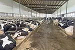 61917-halbach-Cross-Ventilation-System.jpg