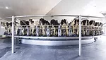 61858-claypool-rotary-delaval.jpg