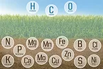 61941-sawyer-elements.jpg