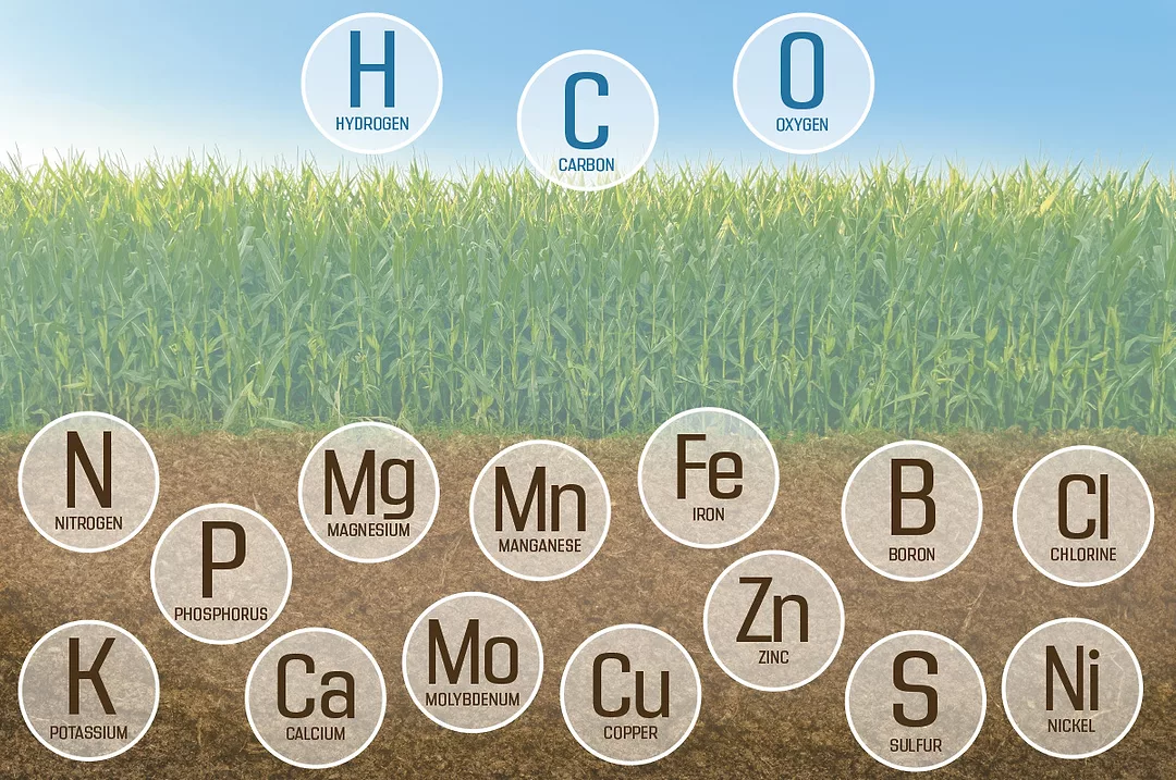61941-sawyer-elements.jpg