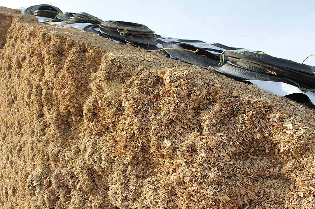 62075-hafla-silage-staff.jpg