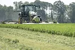 62118-viney-harvest.jpg