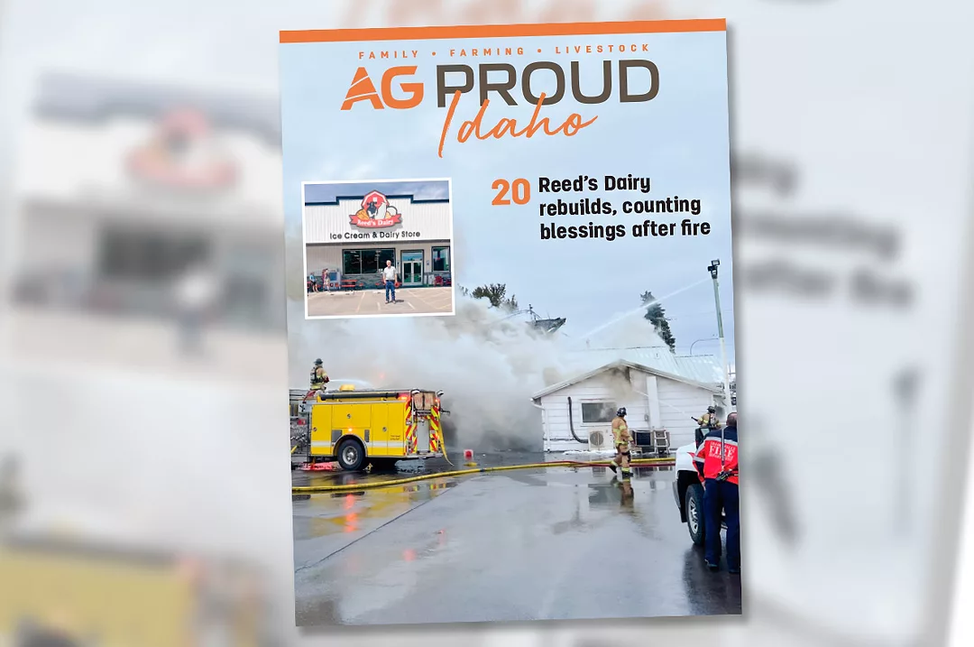 1025ap-digital-edition-feature-spot.jpg