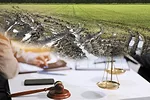 62286-goeringer-damage.jpg