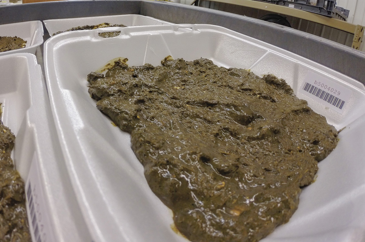 62258-fleming-manure-sample-in-styrofoam.jpg