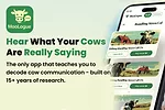 62300-neethirajan-moologue.jpg