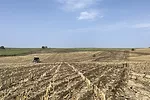 62344-kelderman-field.jpg
