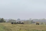 62378-kern-hay.jpg