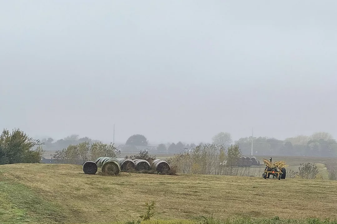62378-kern-hay.jpg