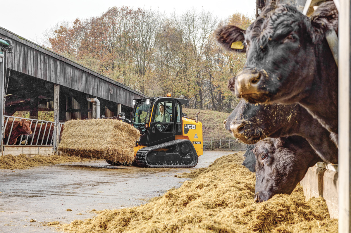 62412-ullyott-270T-Compact-Loader-Cows.jpg