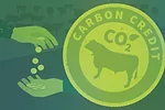 62413-bronson-carbon-credits.jpg
