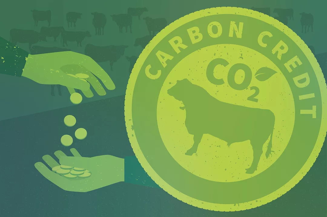 62413-bronson-carbon-credits.jpg