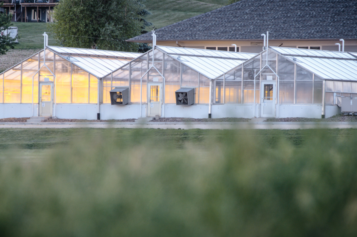 62423-viney-greenhouse.jpg