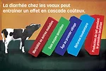 62466-brockmann-dominos.jpg