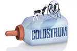 62468-frainer-illustration.coreylewis.jpg