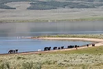62543-weldon-water-dixon.jpg