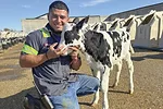 62527-mcBride-Calf.jpg