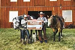 62569-thomas-Plateau-Cattle-Co-Alberta-Beef-Producers.jpg