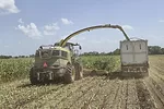 62614-grooms-forage-management-8.jpg