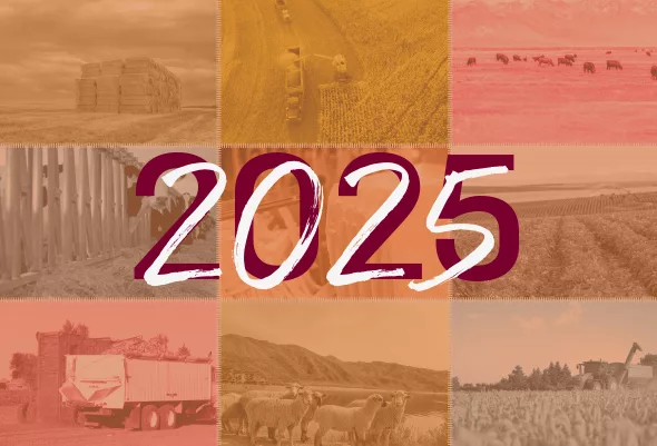 62696-wilder-collage.jpg