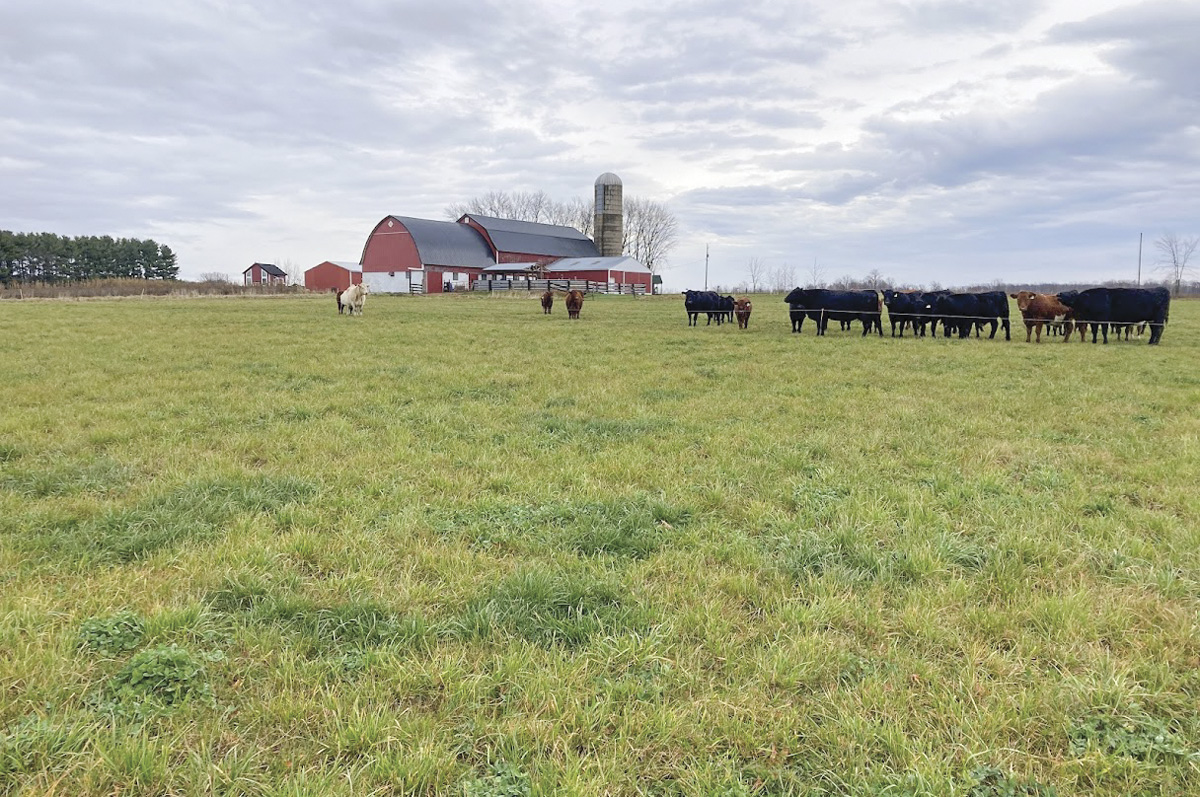 62708-grooms-9592.jpg