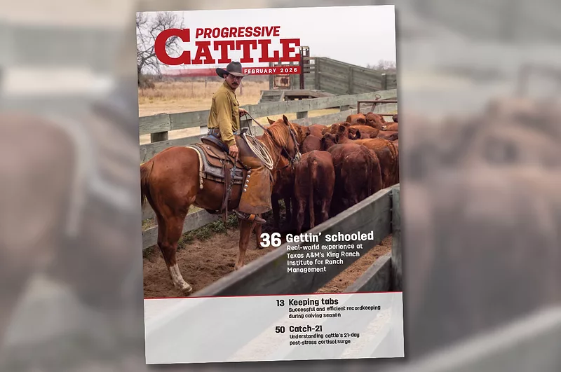 0226pc-digital-edition-feature-spot.jpg