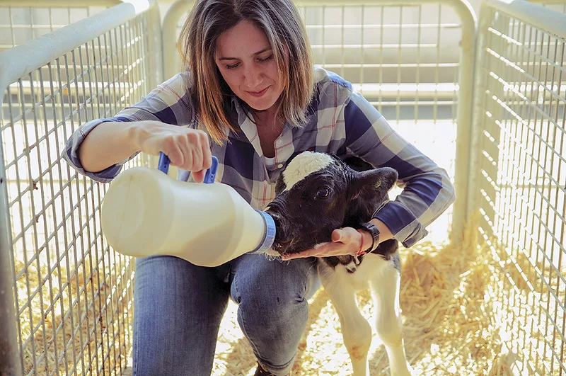62740-fobes-colostrum.jpg 62740-fobes-colostrum.jpg