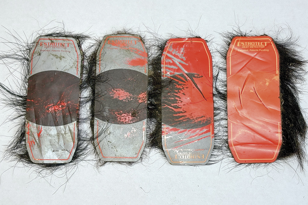 62799-bechtel-estrotect_patches_1.jpg