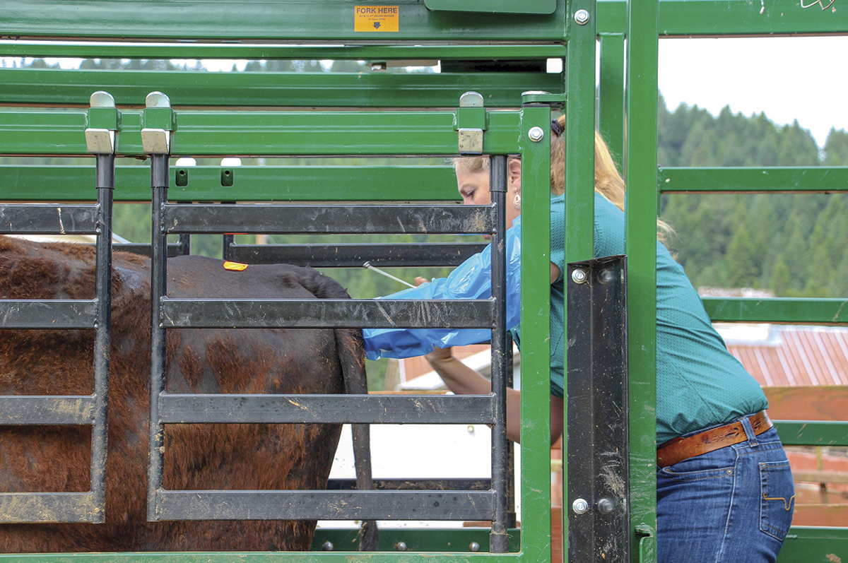 62799-betchell-adrienne-lulay_1.jpg