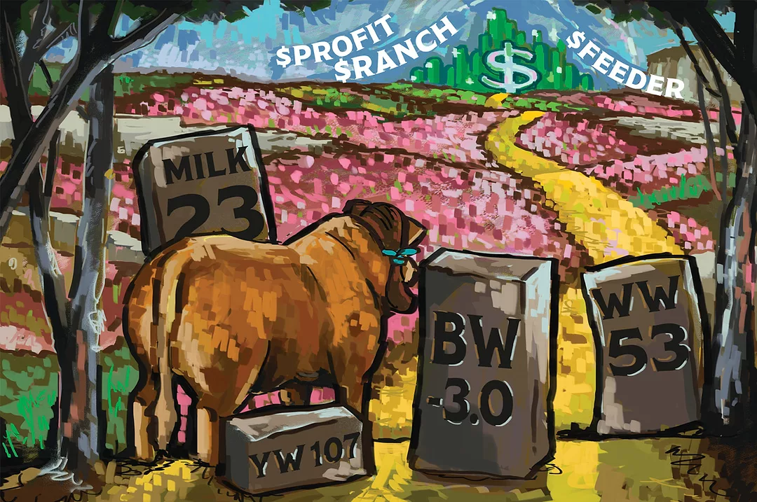 62780-martin-illustration.coreylewis.jpg