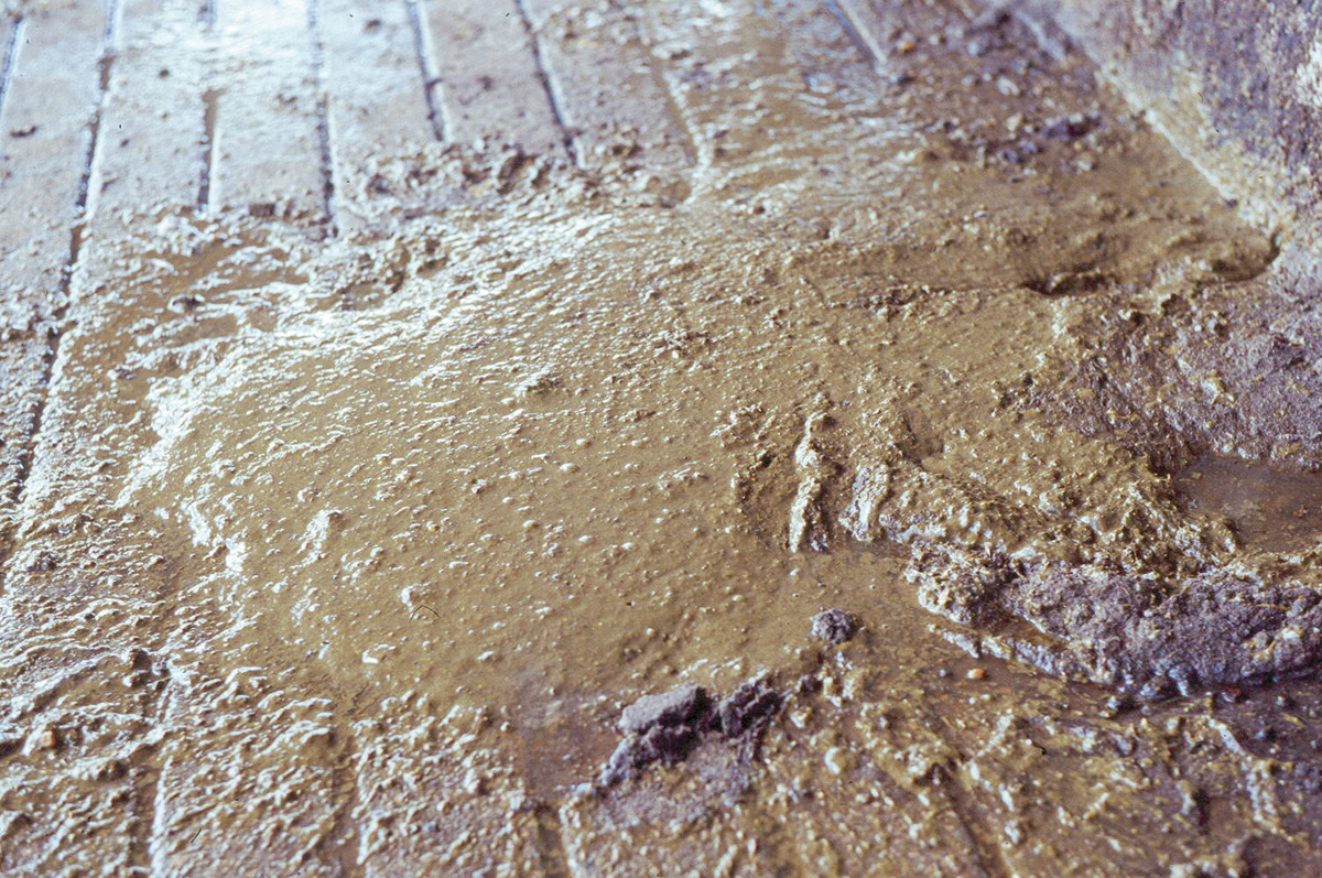 62829-hall-diarrhea.jpg