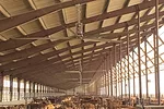 62843-armstrong-dixon.jpg